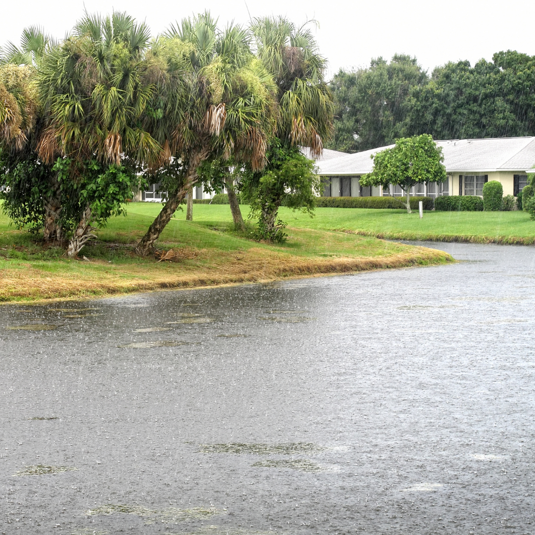 Know Your Flood Risk, 2 (2)